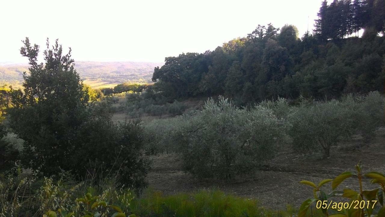 La Casa Dei Sogni Apartman Monteverdi Marittimo Kültér fotó