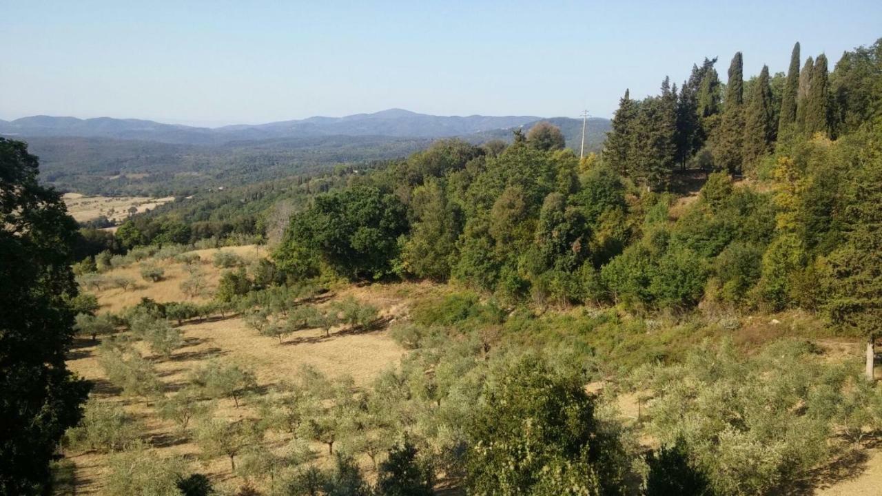La Casa Dei Sogni Apartman Monteverdi Marittimo Kültér fotó
